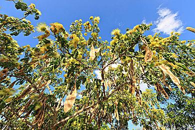 多人竞速《达喀尔拉力赛》10月4日发售 登陆多平台